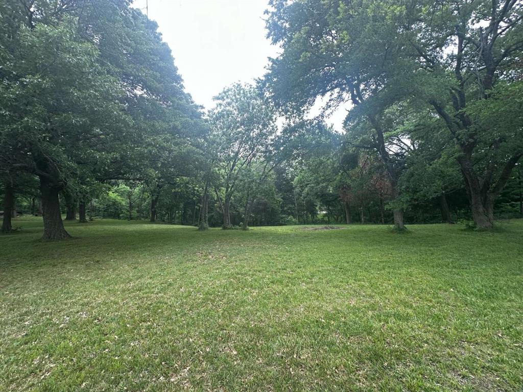 505 Paxton Road Gunter, TX 75058 - Photo 7 of 12 a view of a green yard