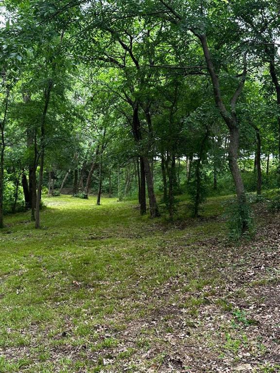 505 Paxton Road Gunter, TX 75058 - Photo 8 of 12 a view of outdoor space with trees all around