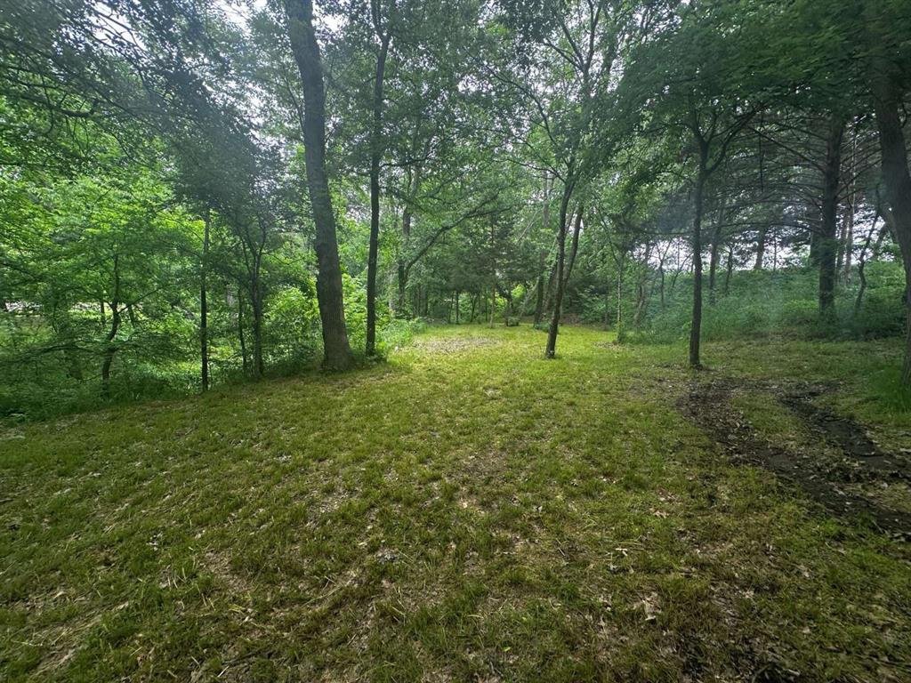 505 Paxton Road Gunter, TX 75058 - Photo 9 of 12 a view of outdoor space with trees all around