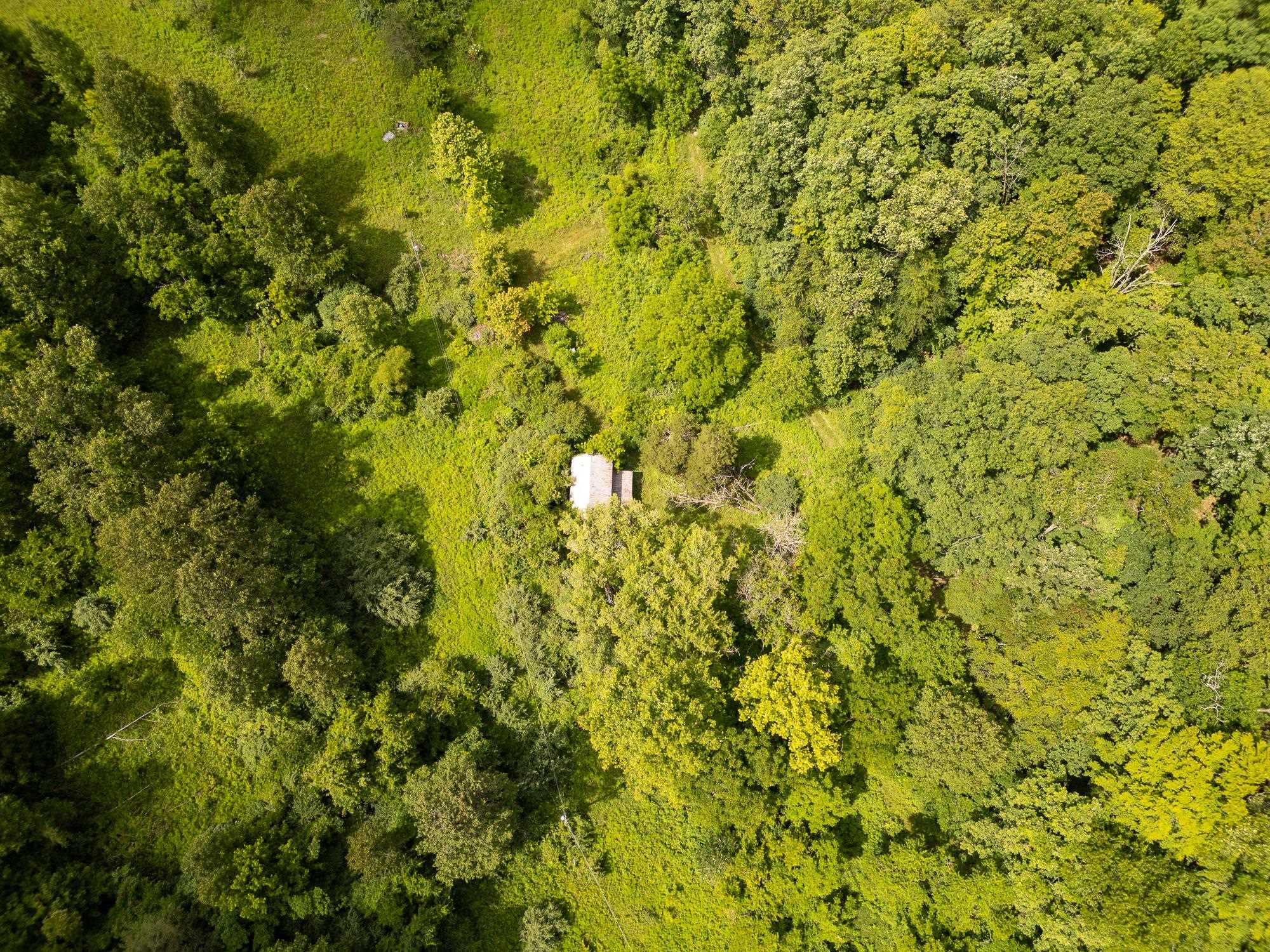 517 Lake Road Fort Gay, WV 25514 - Photo 5 of 21 Gallery Image 5
