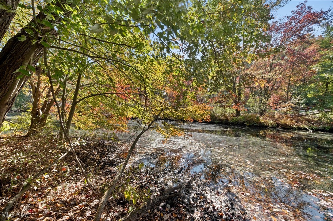 West Comet Road Clinton, OH 44216 - Photo 18 of 26 View of local wilderness