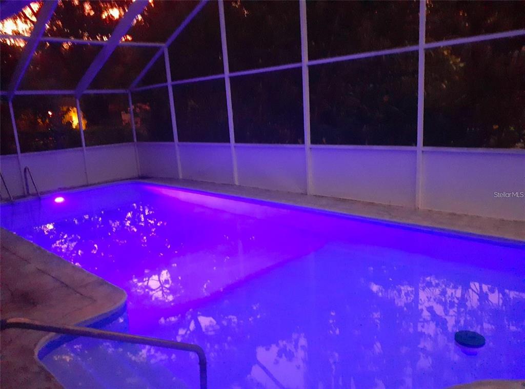 2042 Craft Lane Sarasota, FL 34239 - Photo 36 of 100