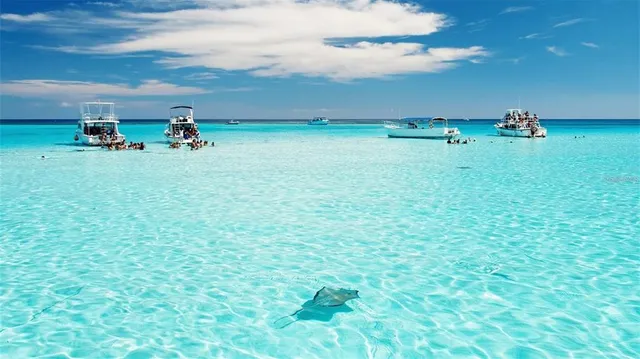 $6,800 | 2042 Craft Lane, Sarasota, FL 34239