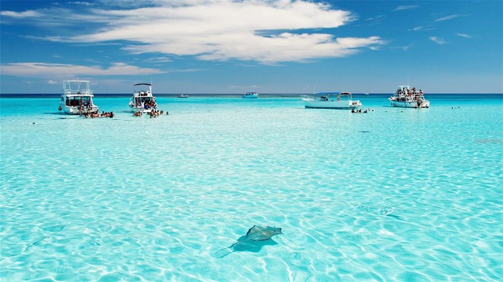 2042 Craft Lane Sarasota, FL 34239 - Photo 99 of 100