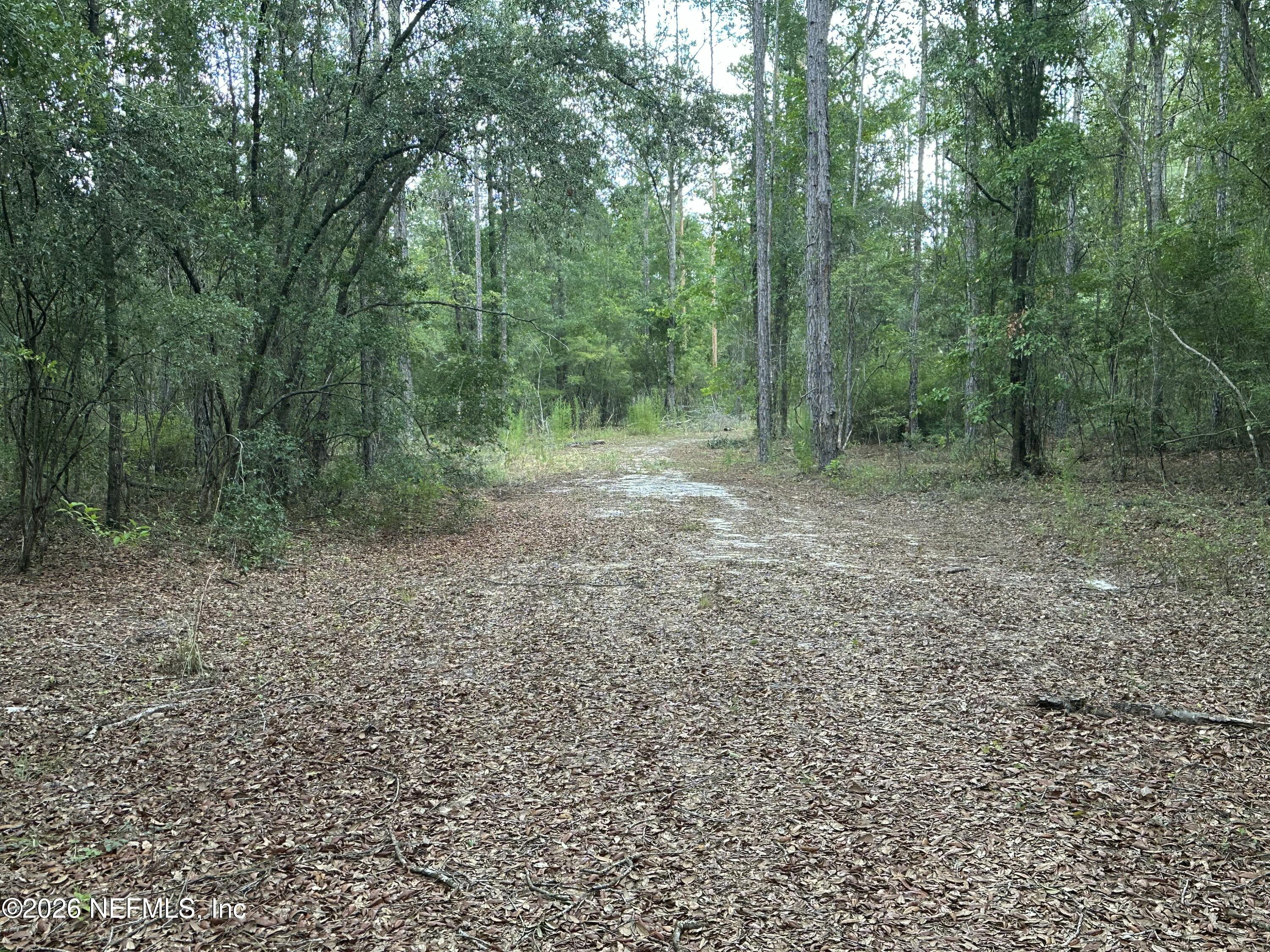 15422 Bullock Bluff Road Bryceville, FL 32009 - Photo 10 of 23 a view of a yard with trees in the background