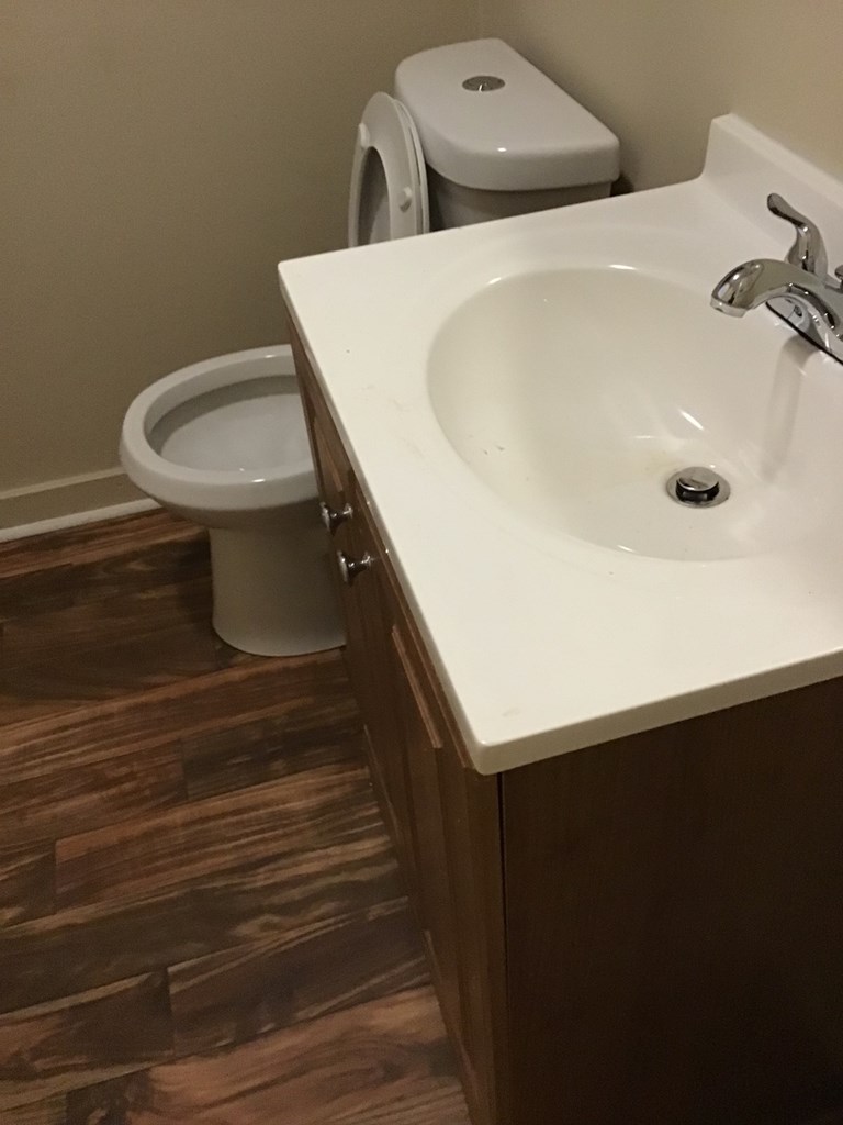 4163 Swann Street Columbus, GA 31903 - Photo 3 of 3 a bathroom with a sink and toilet