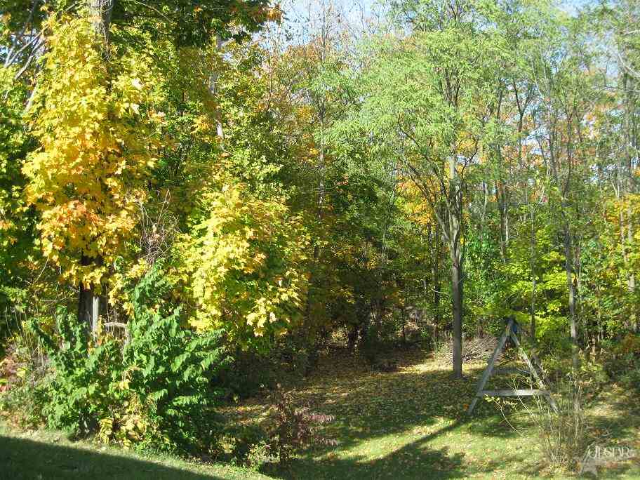 215 Briarwood Trail Decatur, IN 46733 - Photo 4 of 28