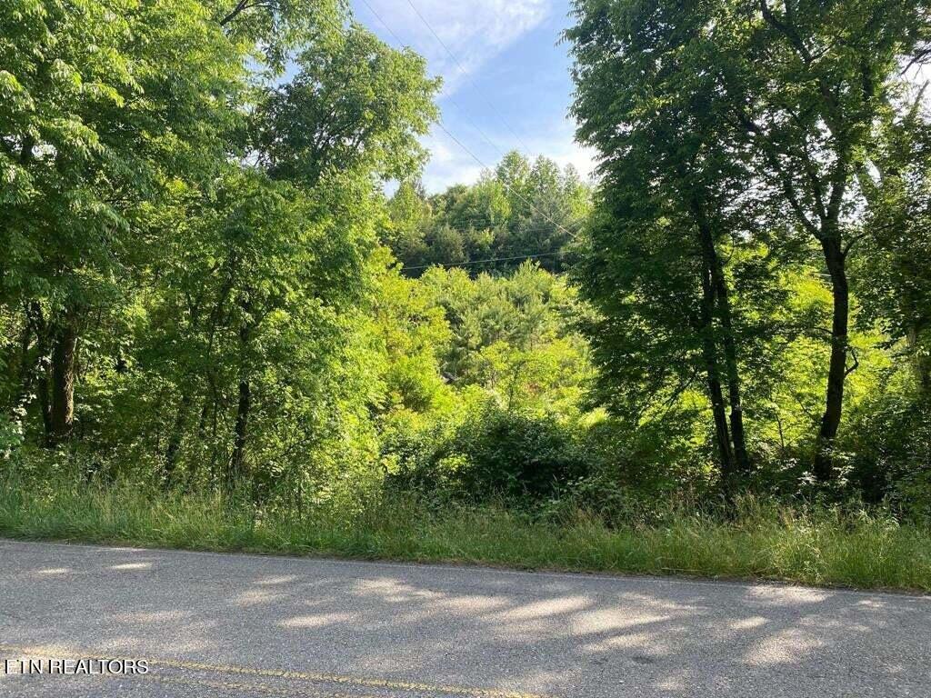 Lot 5 Dover Road Morristown, TN 37813 - Photo 1 of 2 Front
