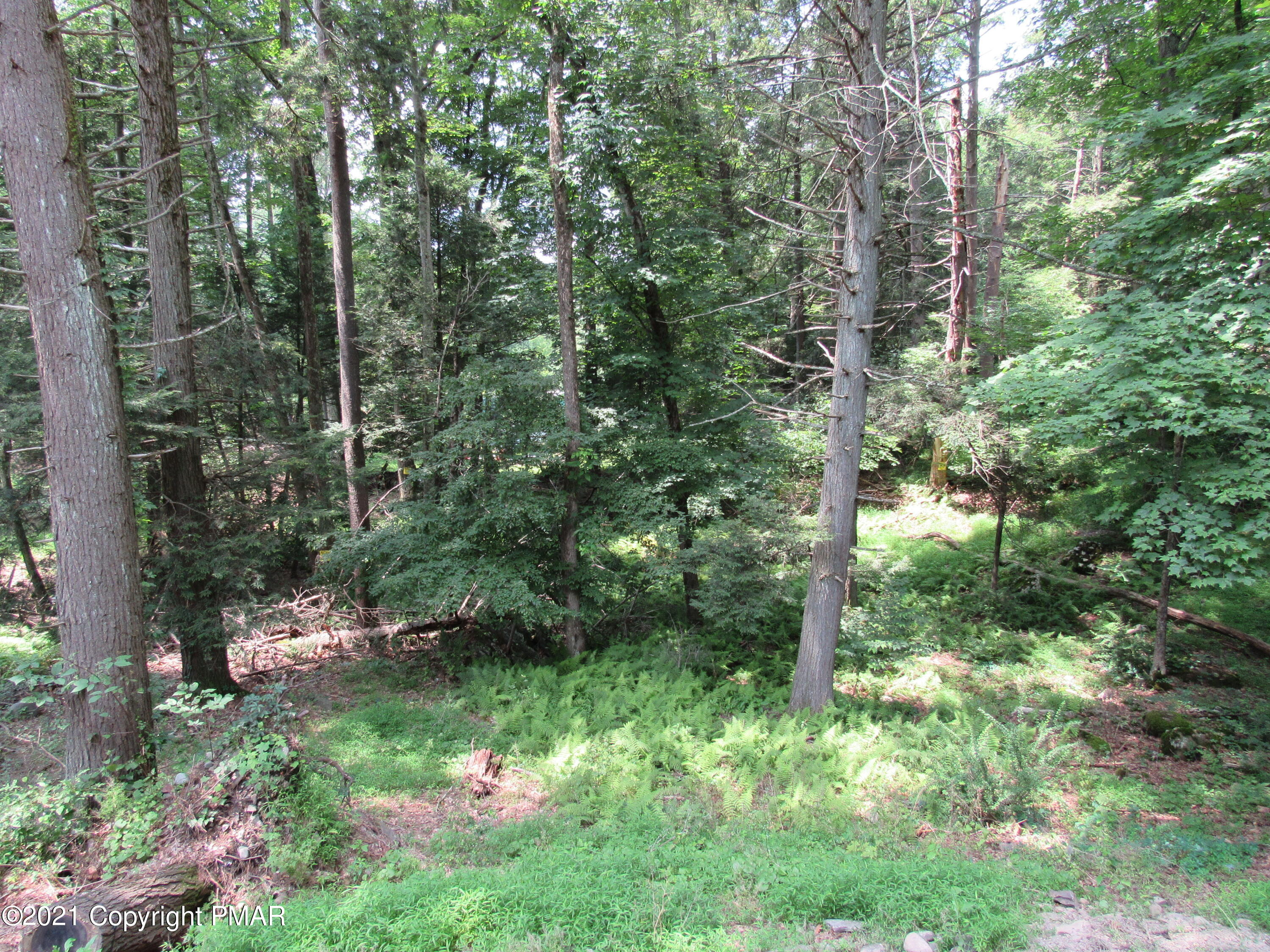 531 Snow Hill Road Cresco, PA 18326 - Photo 29 of 53 IMG_0967