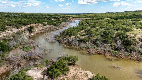a view of a large body of water with lots of trees