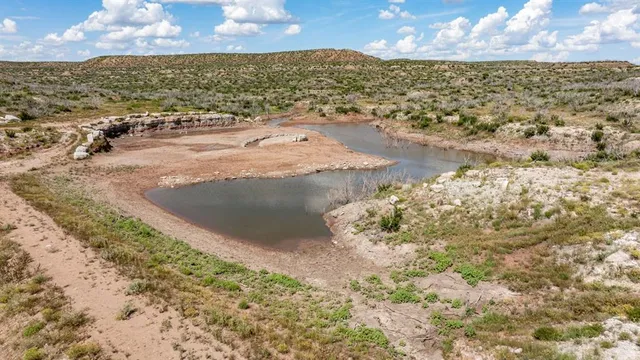 a view of a bunch of trees and mountains in the background