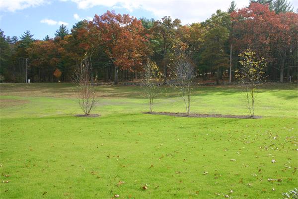 116 Lexington Road Lincoln, MA 01773 - Photo 8 of 28
