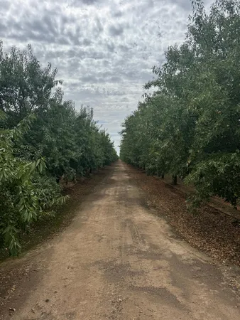 $4,528,850 | 22741 Road 18 1/2, Chowchilla, CA 93610