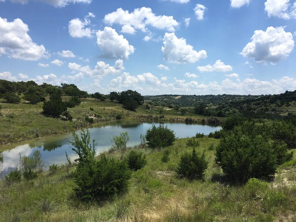 2 Sanctuary Lane, Unit 2 Blanco, TX 78606 - Photo 7 of 13