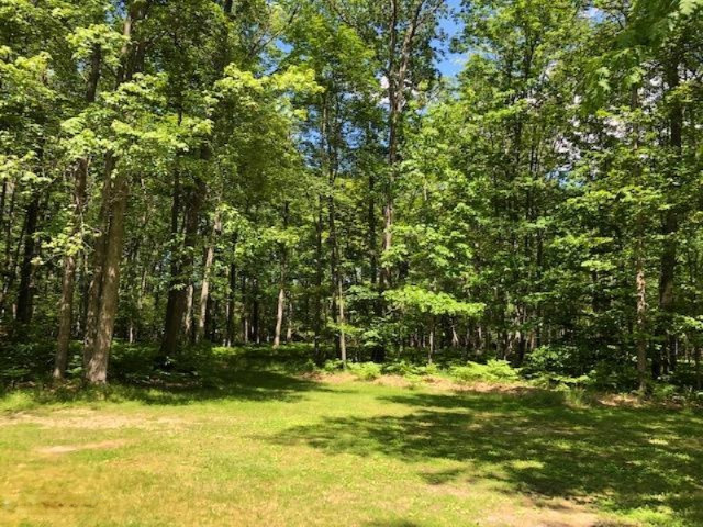 7762 South Evergreen Road Branch, MI 49402 - Photo 21 of 26 IMG_0380