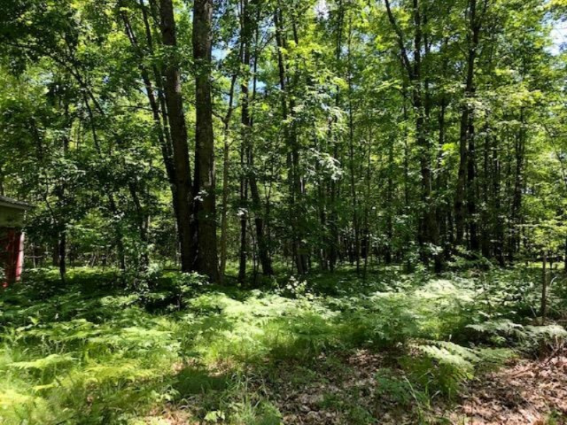 7762 South Evergreen Road Branch, MI 49402 - Photo 22 of 26 IMG_0385
