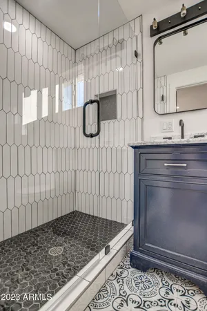 a bathroom with a shower and a sink