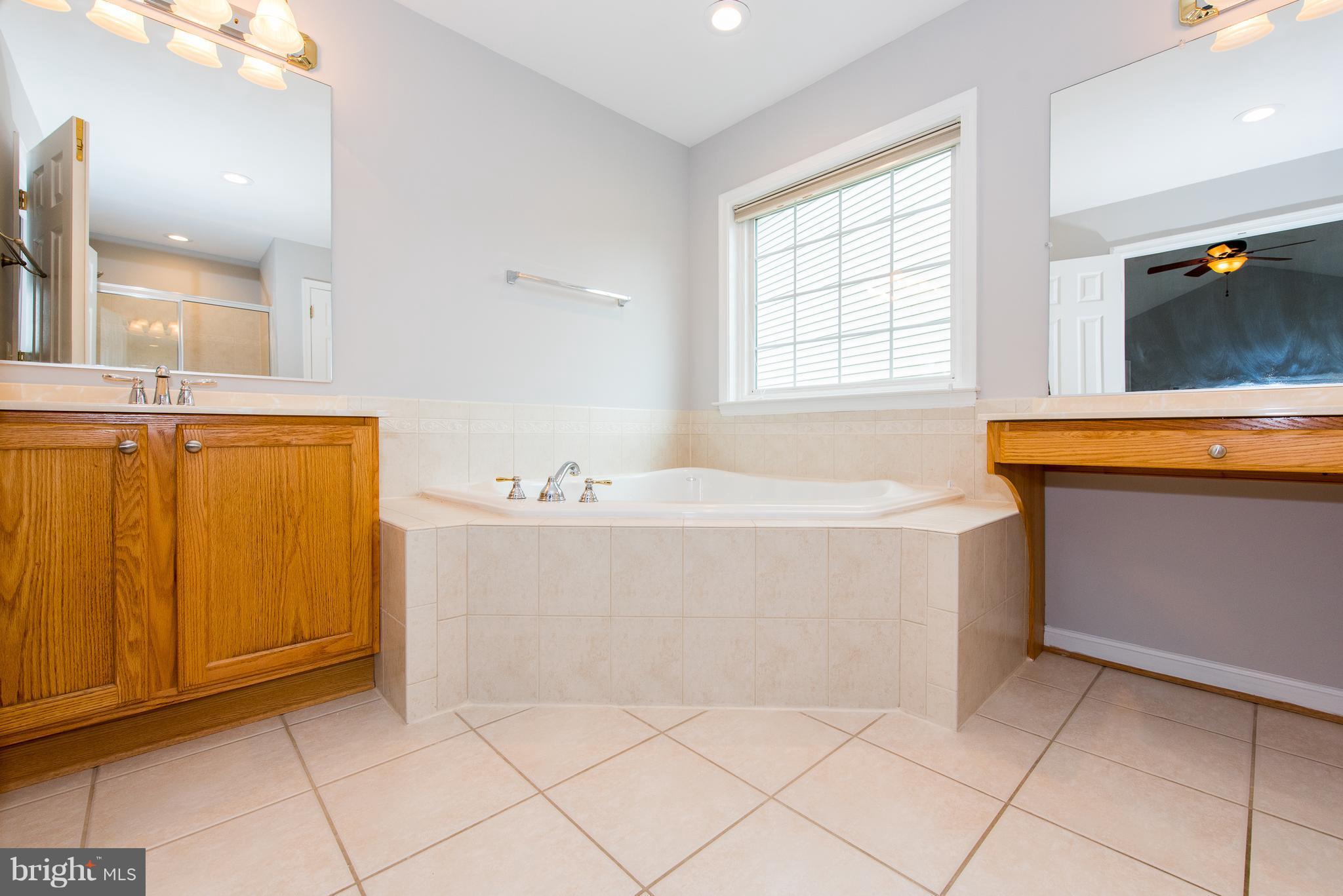 8043 High Castle Road Ellicott City, MD 21043 - Photo 18 of 28 Bath (Master)