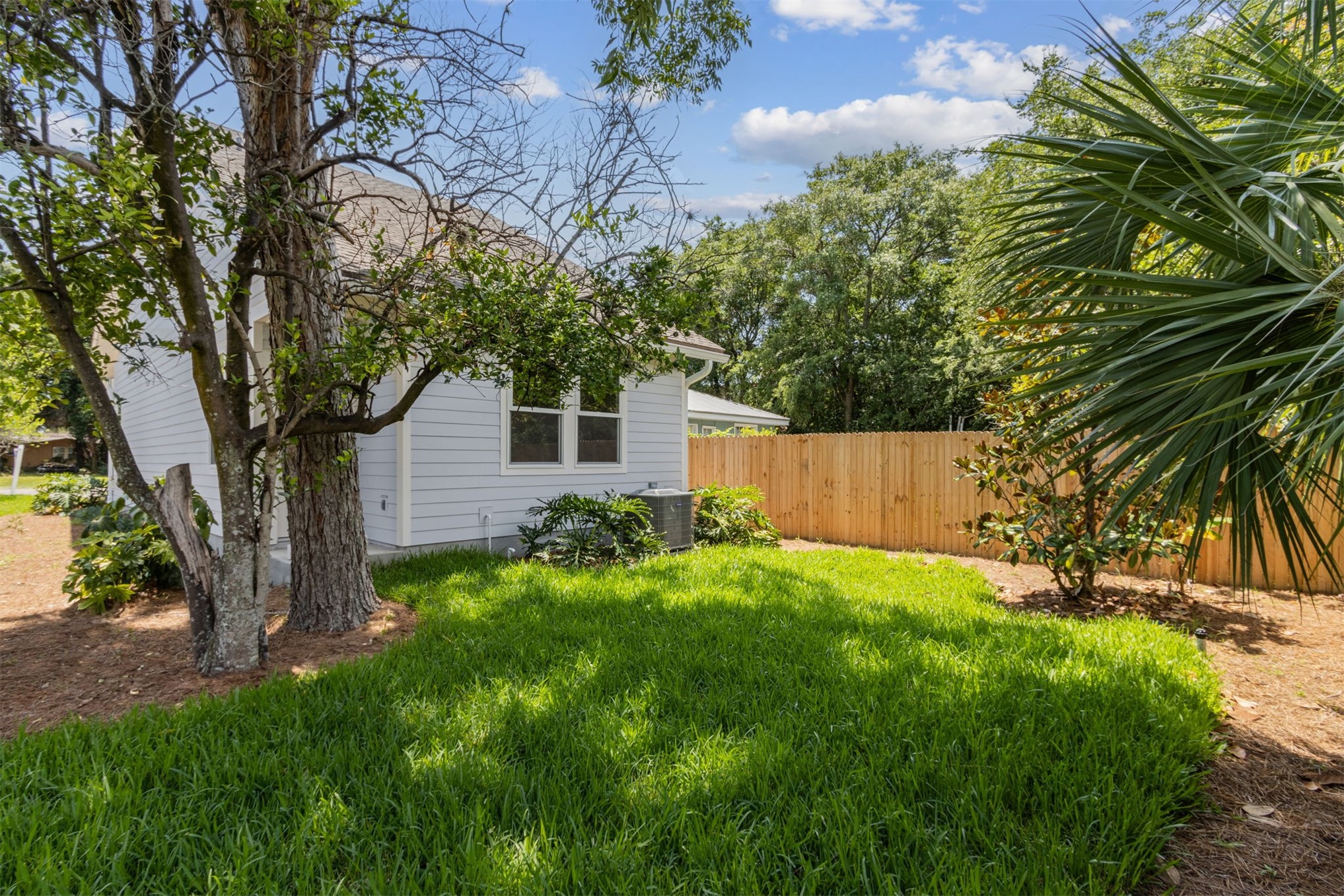 929 South 9th Street Fernandina Beach, FL 32034 - Photo 35 of 36 a view of a backyard with a tree
