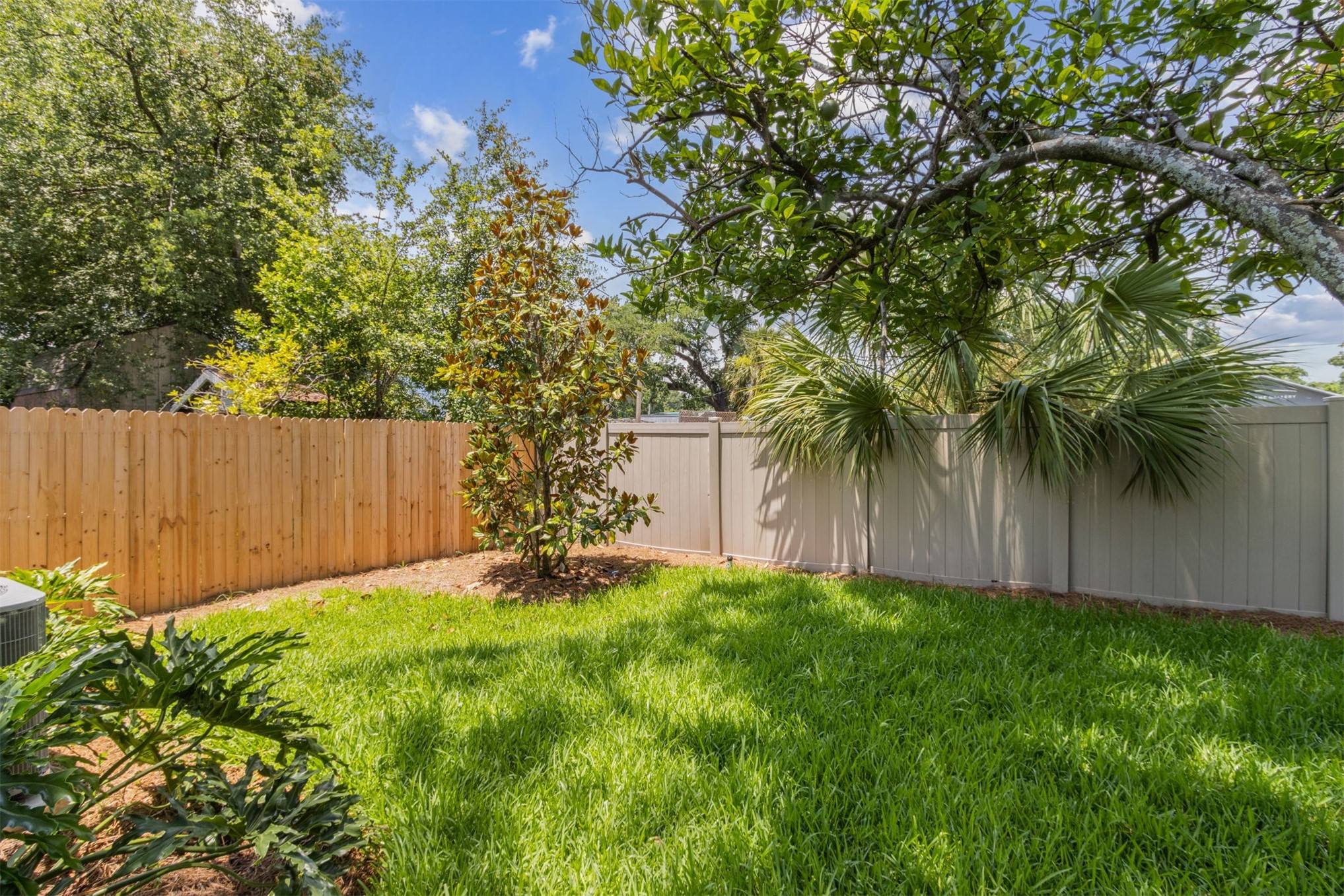 929 South 9th Street Fernandina Beach, FL 32034 - Photo 36 of 36 a view of a back yard