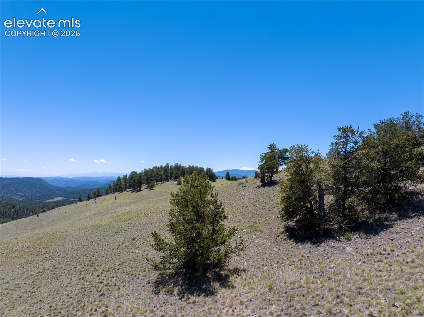 102 County Road Guffey, CO 80820 - Photo 7 of 25 Gallery Image 7