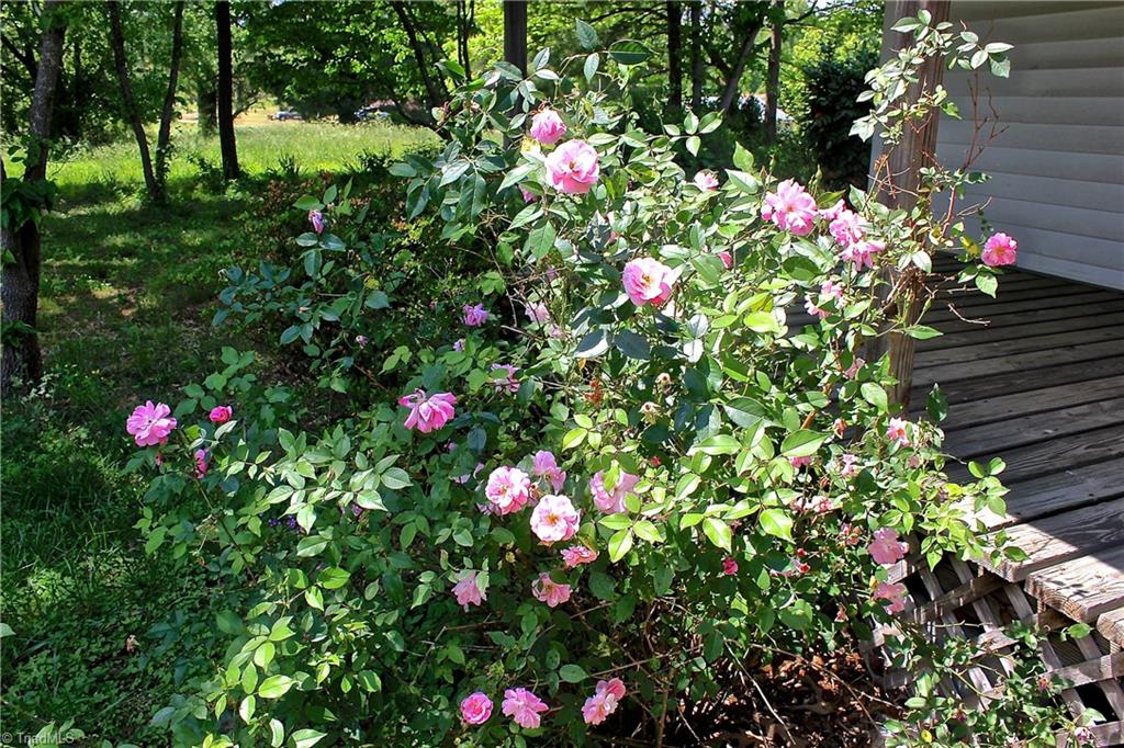 556 Poole Road Troy, NC 27371 - Photo 13 of 30 Gallery Image 13