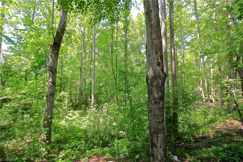 556 Poole Road Troy, NC 27371 - Photo 20 of 30 Gallery Image 20