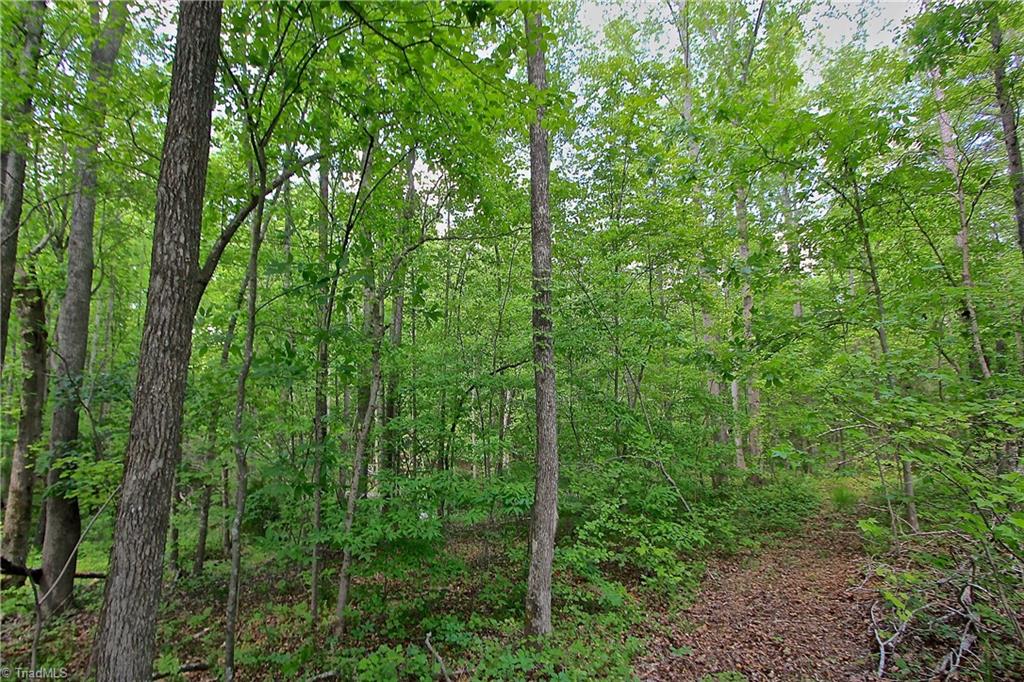 556 Poole Road Troy, NC 27371 - Photo 26 of 30 Gallery Image 26