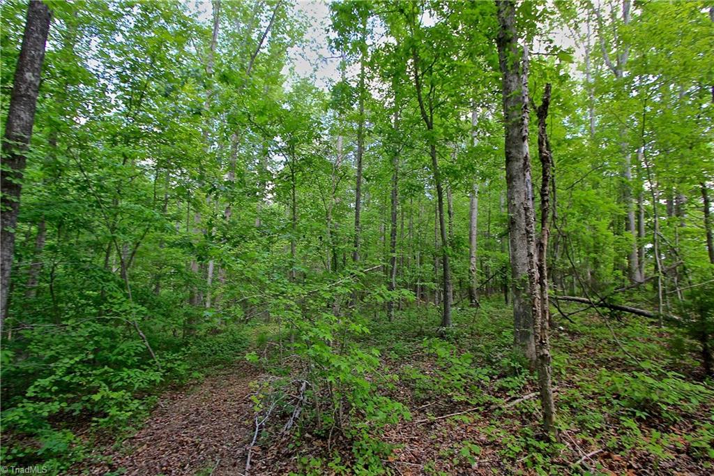556 Poole Road Troy, NC 27371 - Photo 27 of 30 Gallery Image 27