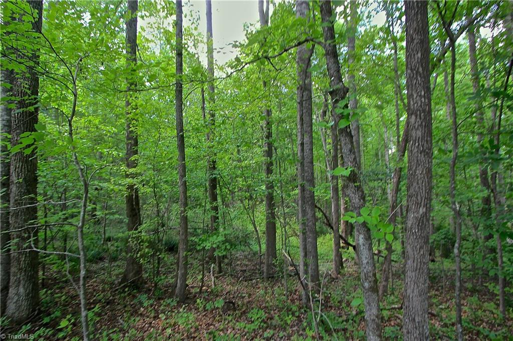 556 Poole Road Troy, NC 27371 - Photo 28 of 30 Gallery Image 28