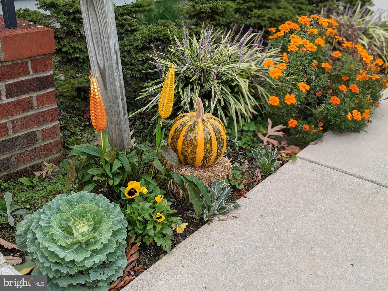 2903 Church Road Parkville, MD 21234 - Photo 36 of 37 an outdoor view of garden with flowers