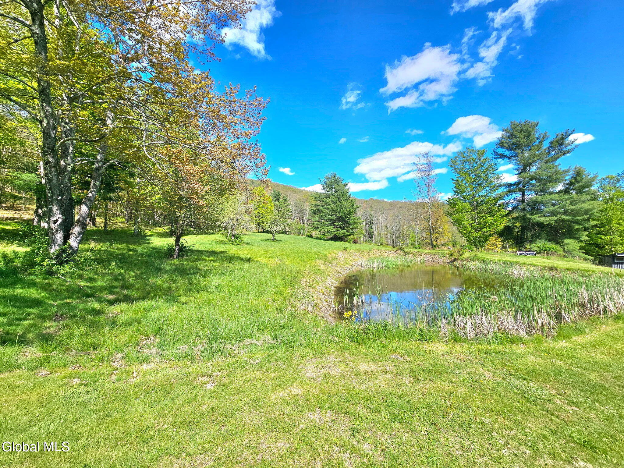 45 Jess Maxon Road Petersburgh, NY 12138 - Photo 38 of 42 1000028710
