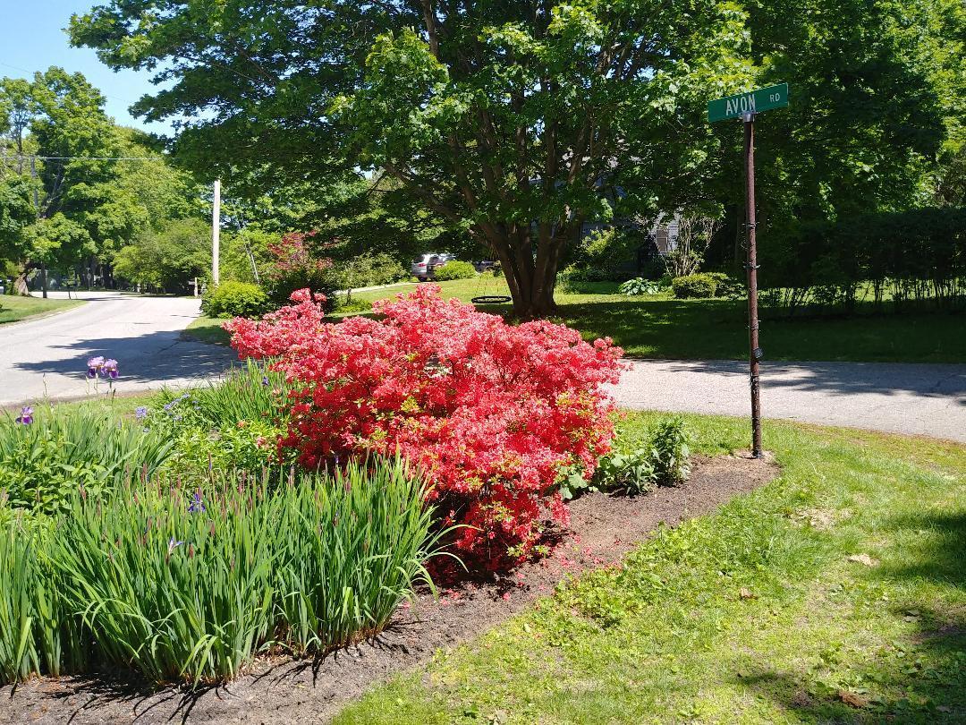 3 Avon Road Cape Elizabeth, ME 04107 - Photo 3 of 23 3 Avon Welcome to Avon Rd.
