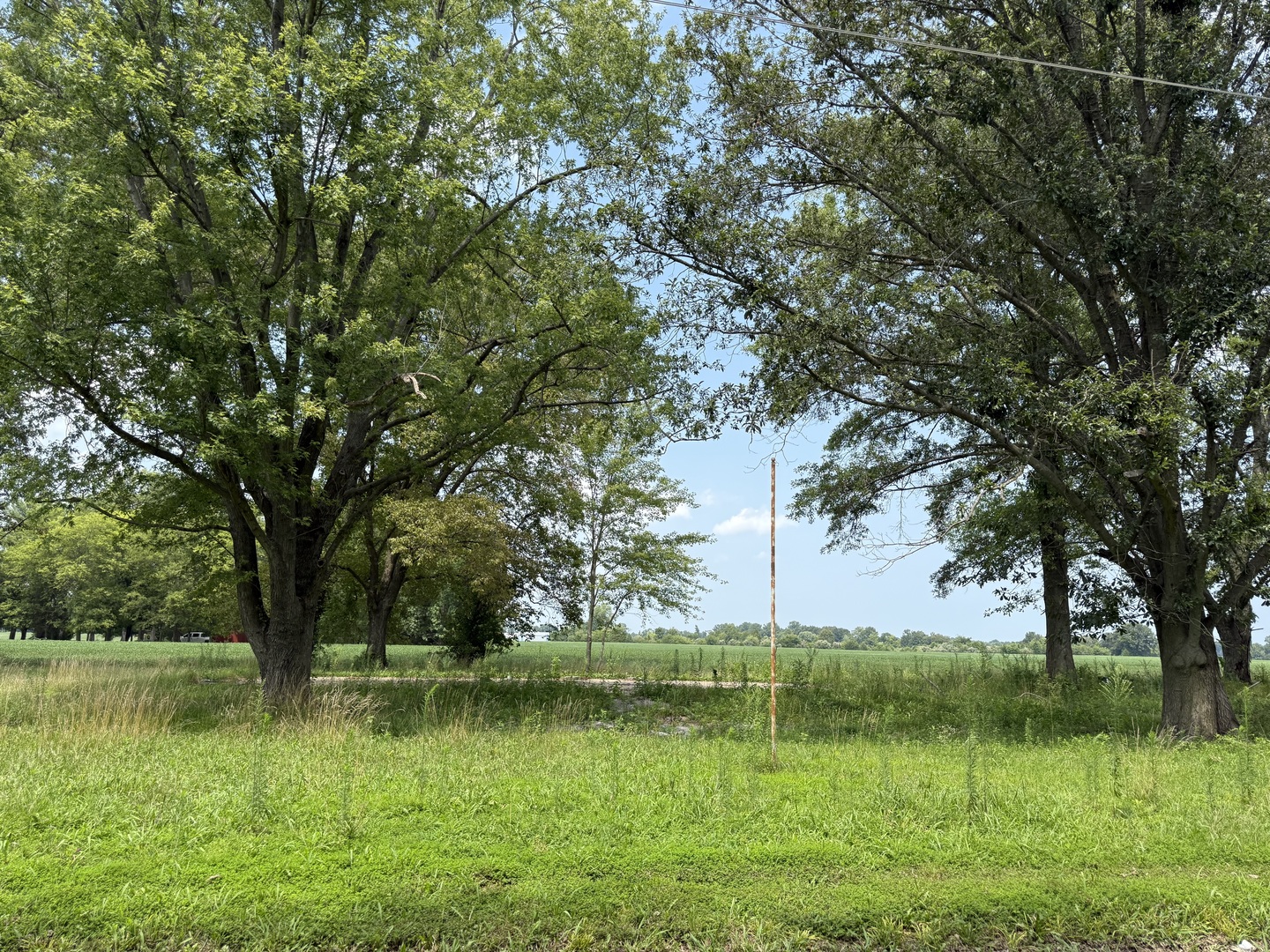 3267 West Grange Hall Road Murphysboro, IL 62966 - Photo 6 of 12