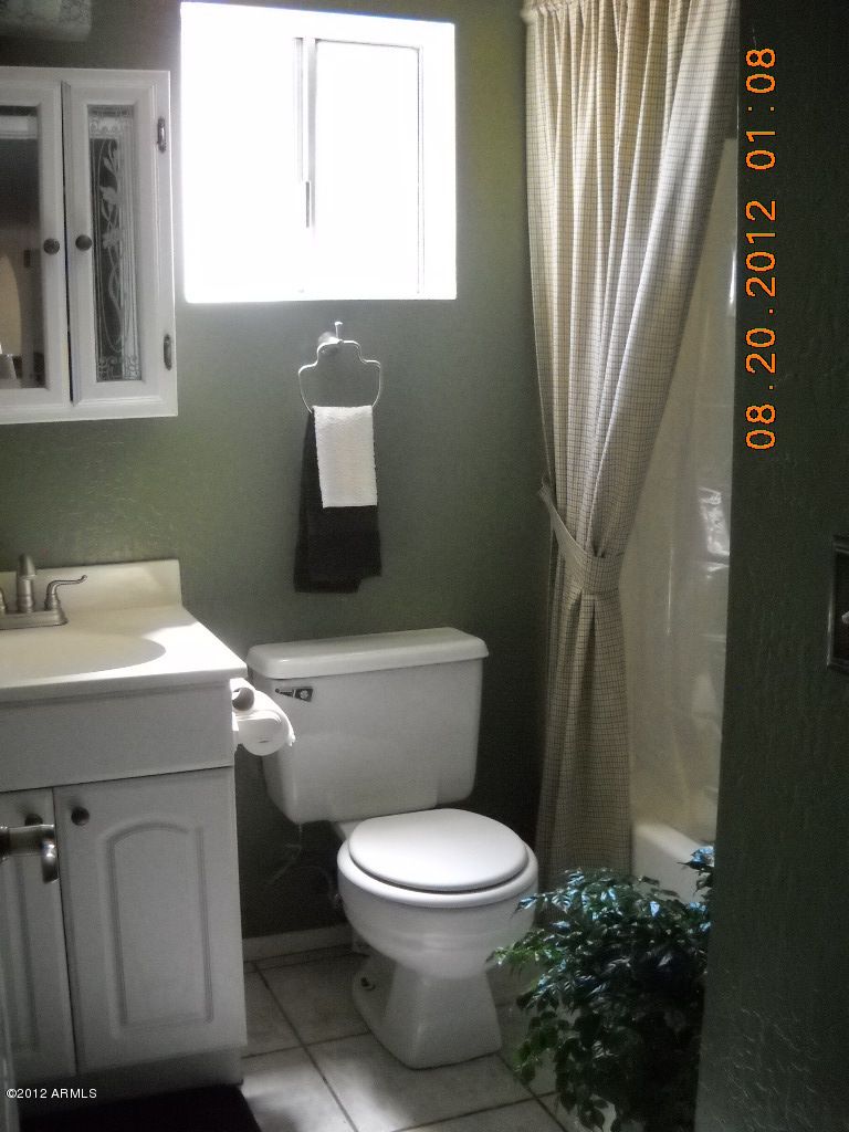 156 West Wagoner Road Phoenix, AZ 85023 - Photo 20 of 36 Hall bath