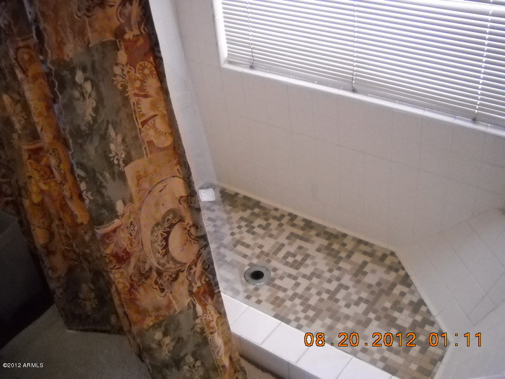 156 West Wagoner Road Phoenix, AZ 85023 - Photo 25 of 36 Master BA sunken tub/shower
