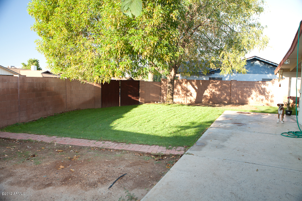 156 West Wagoner Road Phoenix, AZ 85023 - Photo 29 of 36 RV gates_yard