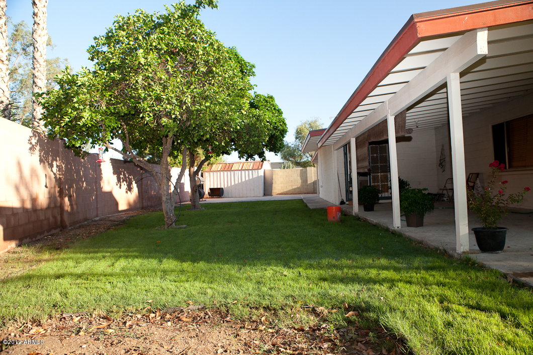 156 West Wagoner Road Phoenix, AZ 85023 - Photo 30 of 36 backyard