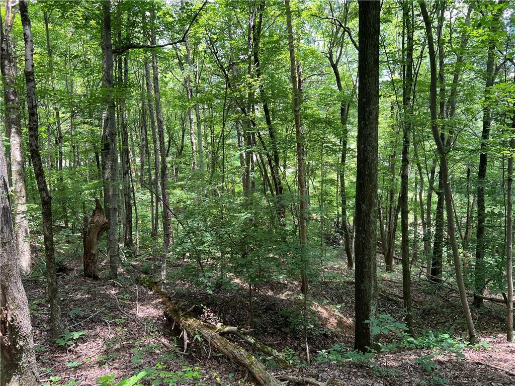 0 Lavender Trail Rome, GA 30165 - Photo 11 of 42 a view of outdoor space and green space