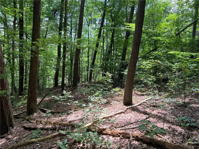 a view of outdoor space and green space