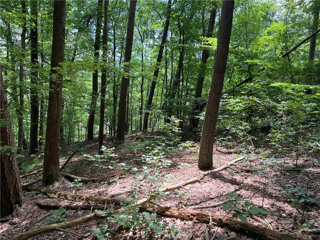 0 Lavender Trail Rome, GA 30165 - Photo 14 of 42 a view of outdoor space and green space
