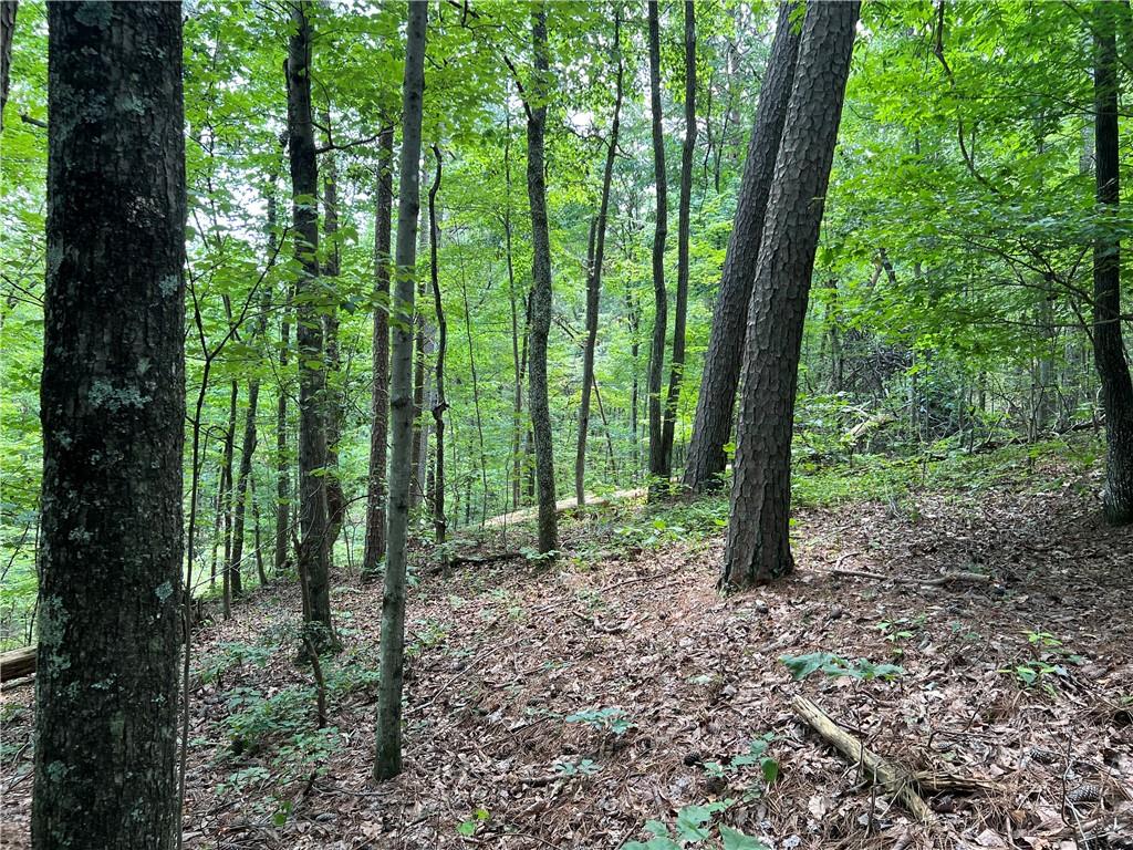 0 Lavender Trail Rome, GA 30165 - Photo 19 of 42 a view of outdoor space and green space