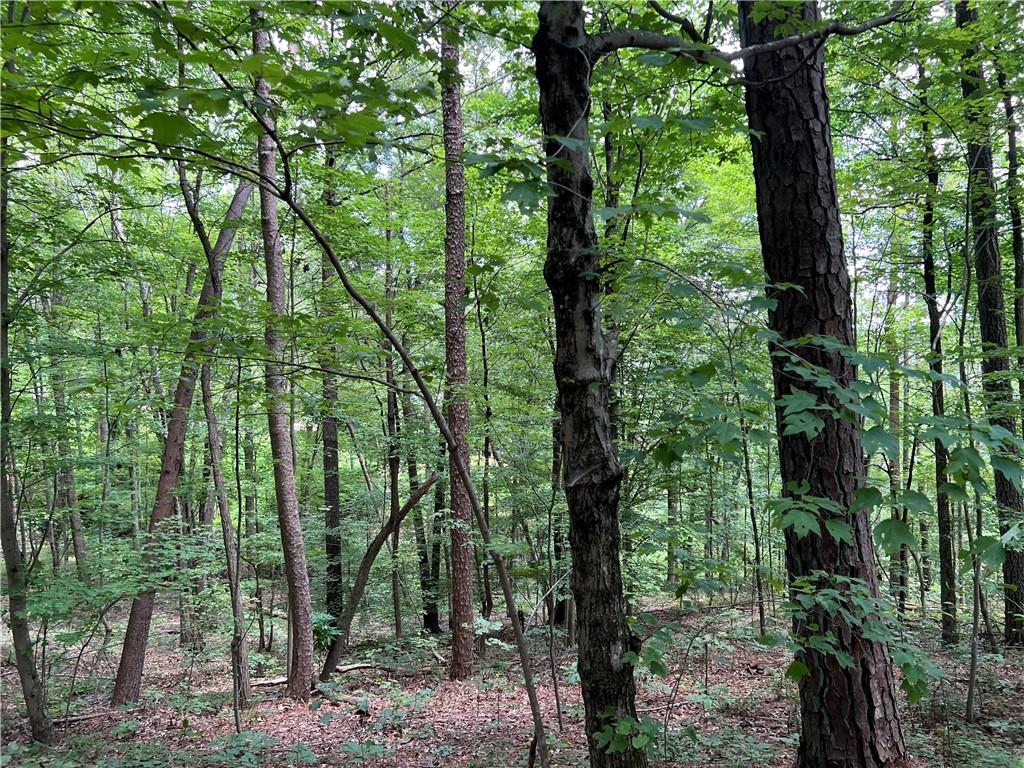 0 Lavender Trail Rome, GA 30165 - Photo 21 of 42 a view of forest