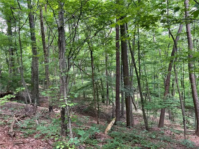 a view of outdoor space and green space