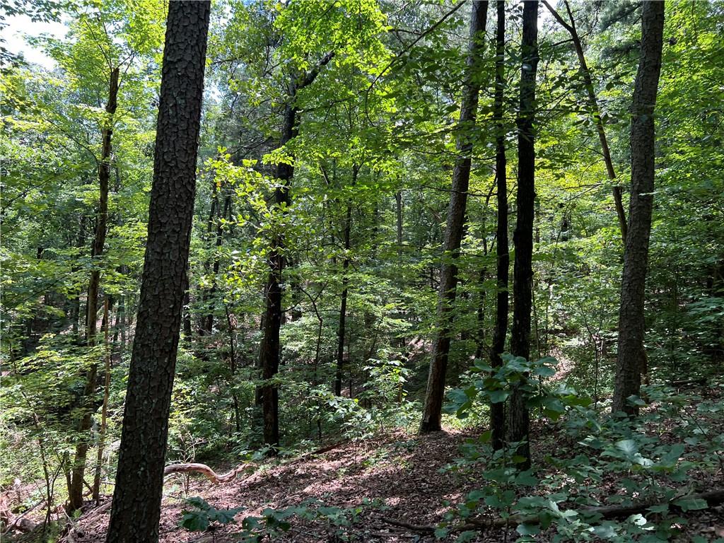 0 Lavender Trail Rome, GA 30165 - Photo 23 of 42 a view of forest