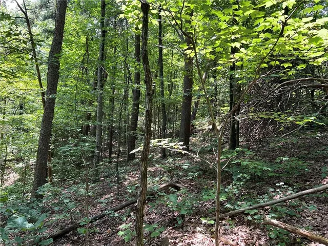 a backyard of a house