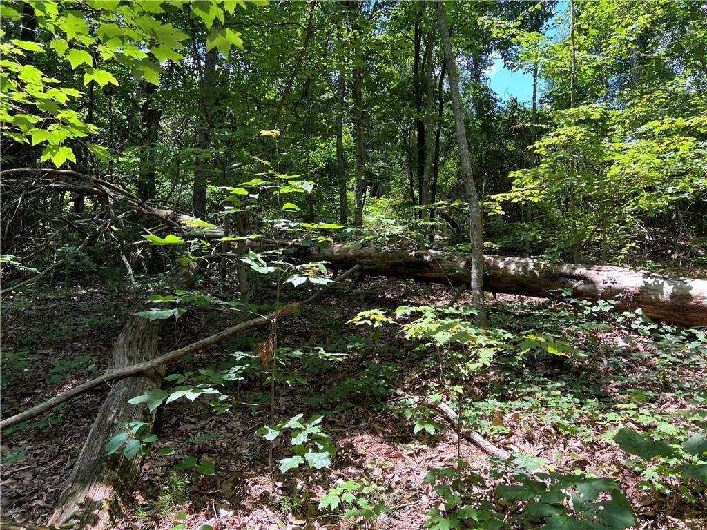 0 Lavender Trail Rome, GA 30165 - Photo 25 of 42 a backyard of a house