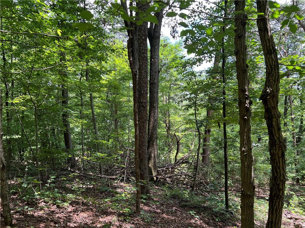 0 Lavender Trail Rome, GA 30165 - Photo 26 of 42 a view of outdoor space and green space
