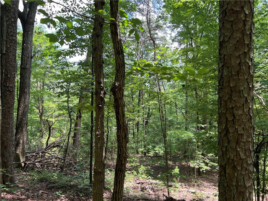 0 Lavender Trail Rome, GA 30165 - Photo 27 of 42 a view of forest
