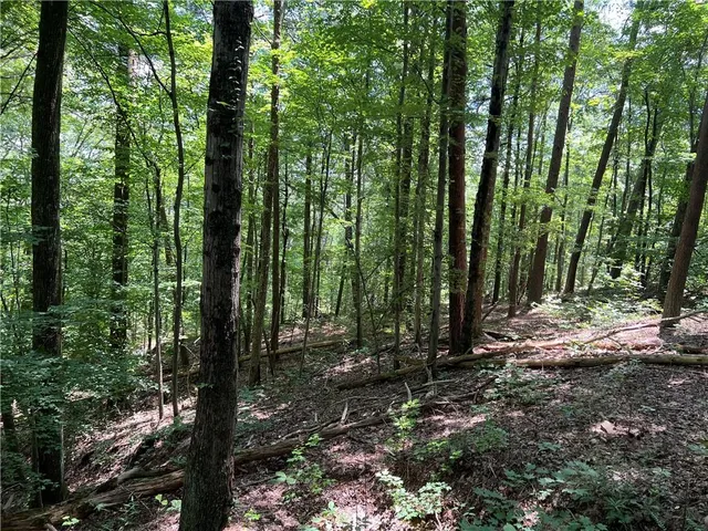 a view of outdoor space and trees
